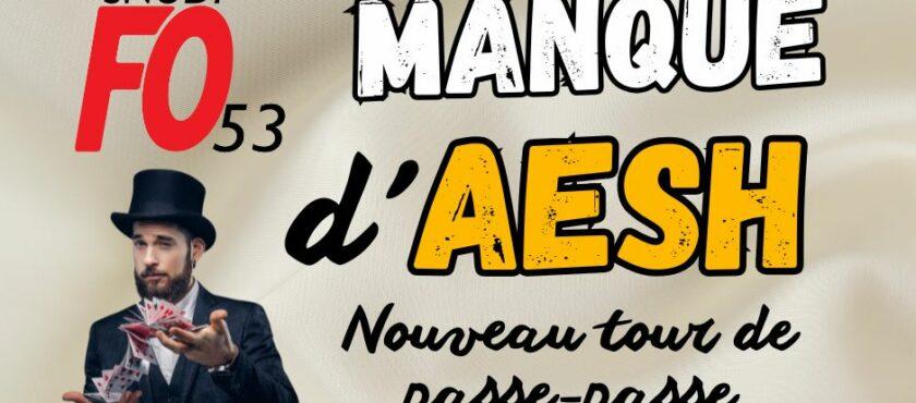 Manque d’AESH : Toujours plus d’économies budgétaires sur le dos enfants en situation de handicap