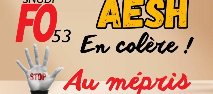 AESH : pour un statut à 24h temps plein, avec un vrai salaire !