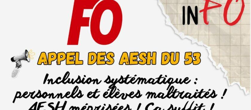 Appel des AESH de la Mayenne : STOP au mépris